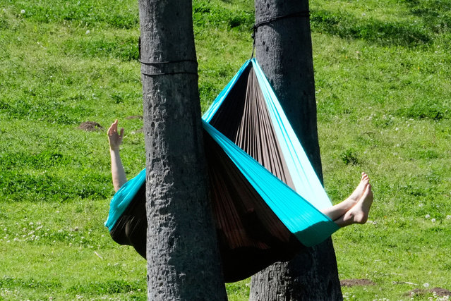 A visitor sits on a hammock at Elysian Park Tuesday, March 25, 2025, in Los Angeles. (Photo by Damian Dovarganes/AP Photo)