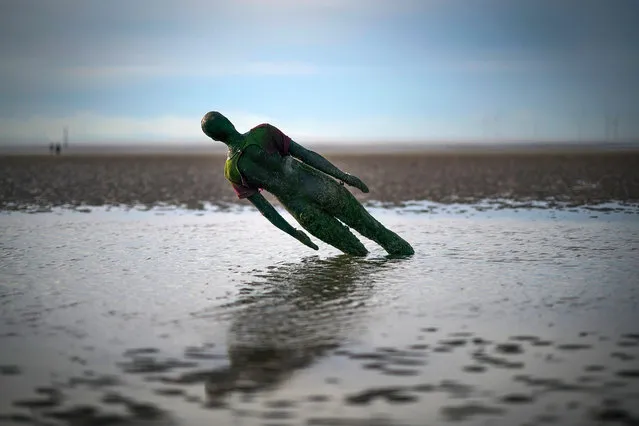A statue at Antony Gormley's art installation “Another Place” at Crosby Beach, subsides in the sand on November 12, 2017 in Liverpool, England. (Photo by Christopher Furlong/Getty Images)