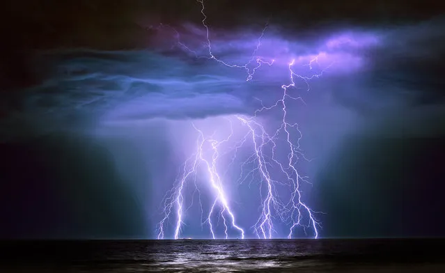 Oil tanker Guanabura hit by lightning, Australia by Graham Newman. “The Guanabra is a 240m-long supertanker and was loaded with crude oil from the Australian north west offshore oil fields at Barrow Island. The ship was approximately 5.3km from the camera when I took the shot at 3.10am. Shortly after taking the shot, the lightning cell closed on my position on the beach and I grabbed up my equipment and ran for my life. I had just closed the car door when the lightning hit close by and took out all the lights in the area”. (Photo by Graham Newman/Weather Photographer of the Year 2016)