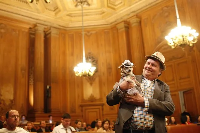 Dog owner Dean Clark presents Frida, a female Chihuahua, as the San Francisco Board of Supervisors issues a special commendation naming Frida “Mayor of San Francisco for a Day” in San Francisco, California November 18, 2014. (Photo by Stephen Lam/Reuters)