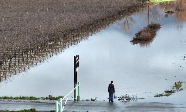 Stephanie Harvey looks out over flooded farmland following a chain of winter storms, in Hopland, California, U.S. January 14, 2023. (Photo by Fred Greaves/Reuters)