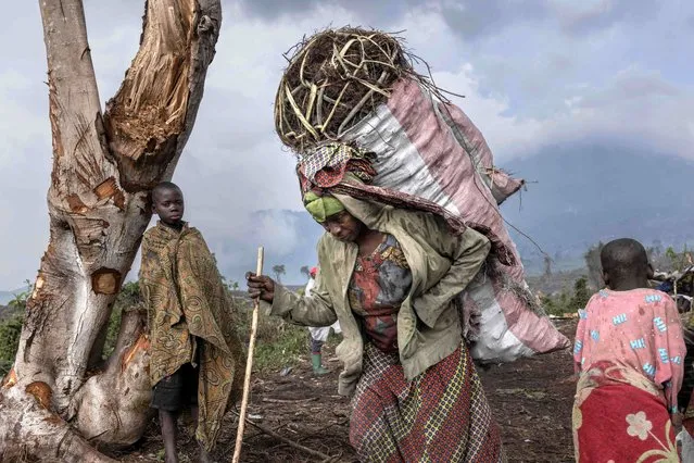 Internally displaced people (IDP) carry charcoal from the forest at the foot of Nyiragongo volcano in Virunga National Park on January 13, 2023, to the market in Kibati. After the resurgence of the M23 rebellion north of Goma city, tens of thousands of people have crowded into makeshift camps in the Nyiragongo. They are struggling to find enough food for their families, so they turned to charcoal production. In less than two months, more than 200 hectares of trees were cut down. The forest of the Nyiragongo volcano will soon be nothing but stumps. (Photo by Guerchom Ndebo/AFP Photo)