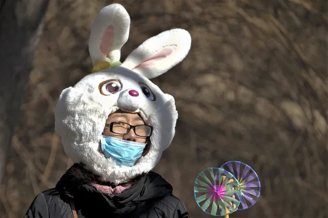 A woman wears a face mask and a rabbit headgear in freezing cold temperatures as she heads to a temple fair at the Yuanmingyuan Garden during the second day of the Lunar New Year celebrations in Beijing, Monday, January 23, 2023. The Lunar New Year is the most important annual holiday in China. Each year is named after one of the 12 signs of the Chinese zodiac in a repeating cycle, with this year being the Year of the Rabbit. For the past three years, celebrations were muted in the shadow of the pandemic. (Photo by Andy Wong/AP Photo)