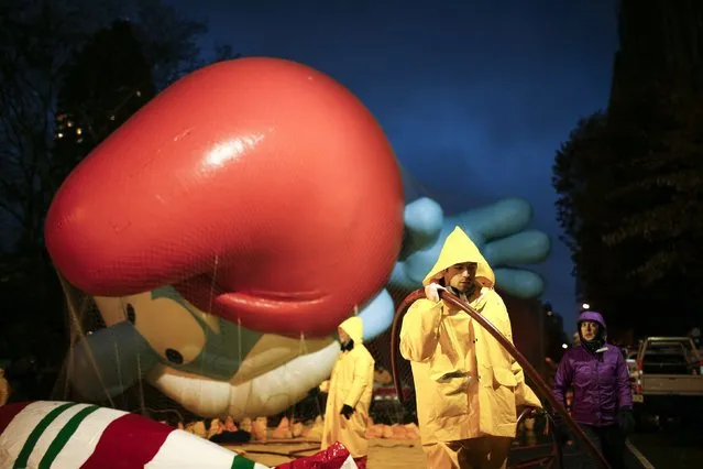 A member of the Macy's Thanksgiving Day Parade balloon inflation team holds the inflation tube during preparations for the 88th annual Macy's Thanksgiving Day Parade in New York, November 26, 2014. (Photo by Eduardo Munoz/Reuters)