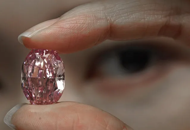 A model displays an ultra-rare 14.83-carat diamond that is one of the largest internally flawless fancy vivid purple-pink gem ever graded by the Gemological Institute of America at a Sotheby's auction room in Hong Kong on Monday, October 12, 2020. The diamond will be offered for sale in Geneva on Nov. 11, 2020. (Photo by Vincent Yu/AP Photo)