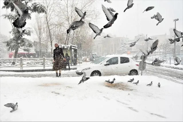 Pigeons fly off in the snow at Tajrish Sq. in northern Tehran, Iran, Sunday, January 15, 2023. The rare snowfall and cold weather that had led to a shortage of natural gas for households and factories, has also forced the government to close schools as well as government offices and private businesses in parts of Iran. (Photo by Vahid Salemi/AP Photo)