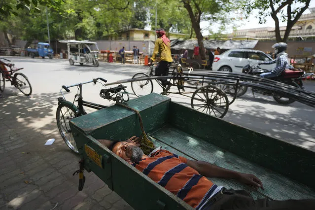An Indian laborer sleeps on a push cart in the shade of a tree on a hot day in Prayagraj, northern Uttar Pradesh state India, Monday, May 22, 2023. (Photo by Rajesh Kumar Singh/AP Photo)