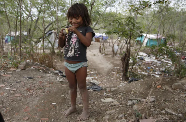 In this June 26, 2018 photo, a barefoot Venezuelan Yupka indigenous girl picks the skin off a cooked potato before eating it at her community's camp set up in Cucuta, Colombia, near the border with Venezuela. Along the banks of the Tachira River dividing Colombia and Venezuela, many of the indigenous children have lice and distended bellies from malnutrition or parasites. However, their tribe leader says they are better off here than in Venezuela, where at least they can eat. (Photo by Fernando Vergara/AP Photo)