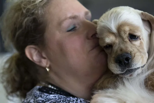 Stacy Domeier kisses her cocker spaniel Tucker before judging at the 139th Westminster Kennel Club's Dog Show in Manhattan, New York February 17, 2015. (Photo by Brendan McDermid/Reuters)