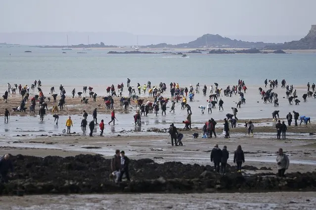 A general view of people who dot the beach as they dig for shellfish during a record low tide in Saint Malo, western France, March 21, 2015. (Photo by Stephane Mahe/Reuters)