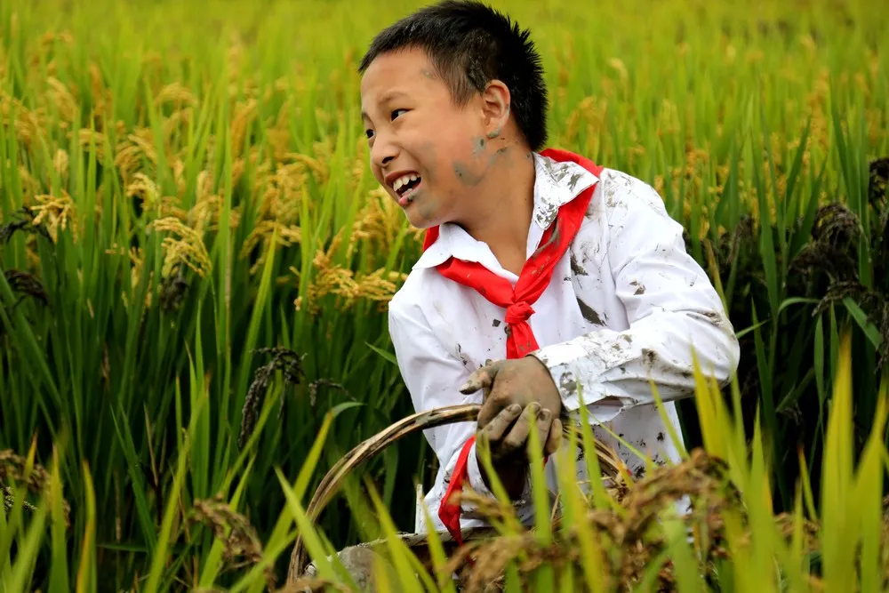 Winners of the National Geographic's Kids Photography Competition 2015