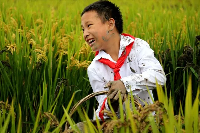 The international winner of Wild Vacation is Zhixuan Wu, 12, from China, with a shot of a child in a rice field. (Photo by Zhixuan Wu/National Geographic)
