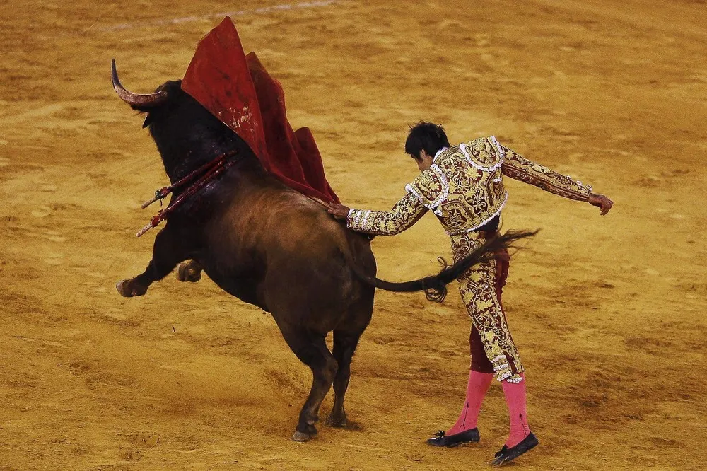 A Bullfight in Malaga