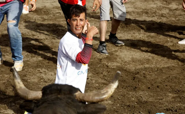 A man gestures towards a bull during a traditional bullfighting festival called “Toros a la tica” in San Jose, Costa Rica January 6, 2017. (Photo by Juan Carlos Ulate/Reuters)