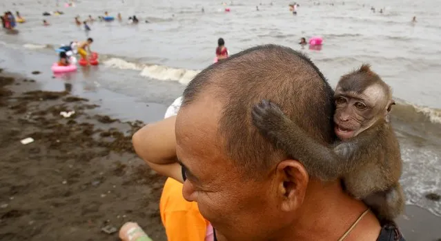 A resident plays with his five-month-old pet monkey named “Momoy” at a beach during Easter Sunday celebrations in Tanza, Cavite south of Manila April 5, 2015. (Photo by Erik De Castro/Reuters)