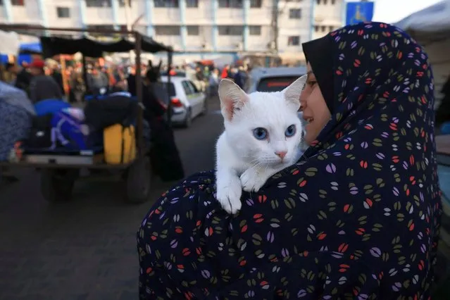 A woman carries her cat as Palestinians who had taken refuge in temporary shelters return to their homes in eastern Khan Yunis in the southern Gaza Strip during the first hours of a four-day truce in the battles between Israel and Hamas militants, on November 24, 2023. A four-day truce in the Israel-Hamas war began on November 24, with hostages set to be released in exchange for prisoners in the first major reprieve in seven weeks of war that have claimed thousands of lives. (Photo by Mahmud Hams/AFP Photo)