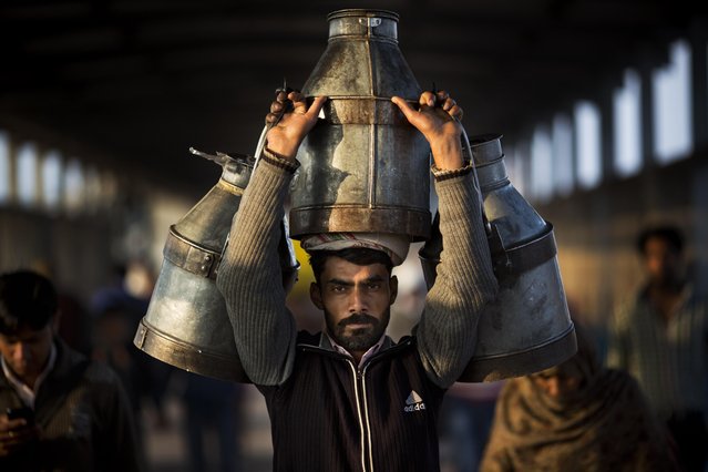 Indian milkman carries milk canisters early morning in Ghaziabad train station, on the outskirts of New Delhi, India, Wednesday, February 24, 2016. India is the world's largest producer of milk and also the largest consumer. (Photo by Bernat Armangue/AP Photo)
