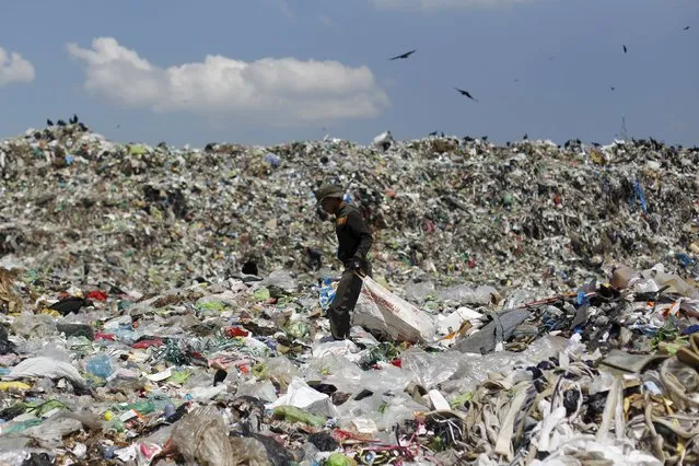 A man looks for usable items in a dumpsite on the outskirts of Tegucigalpa April 17, 2015. (Photo by Jorge Cabrera/Reuters)