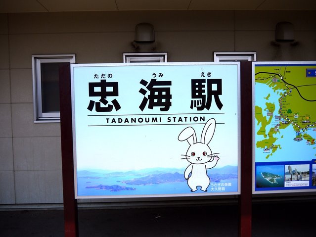 Rabbit Island in Japan