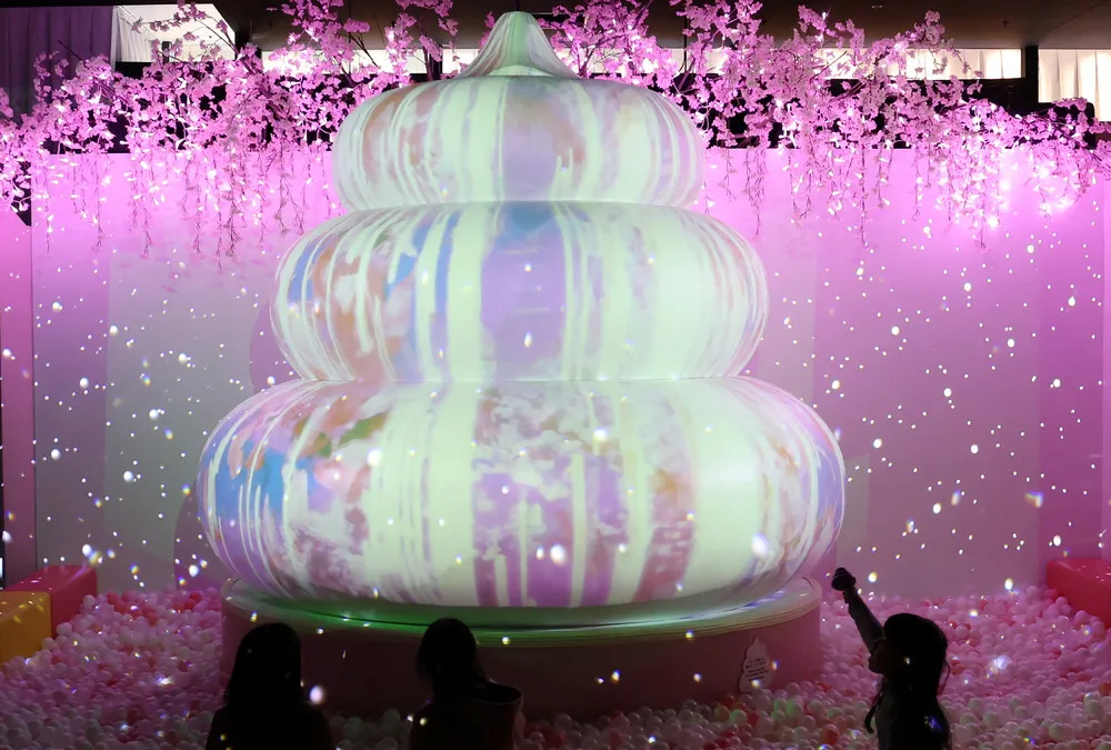 A Look at Life in Japan