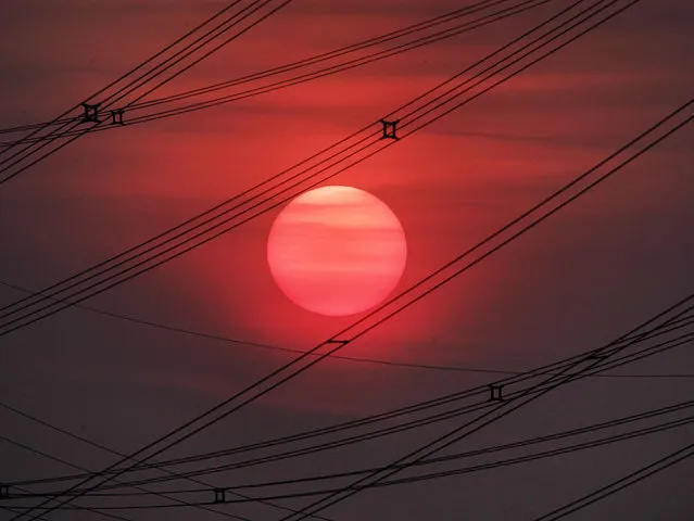 The sun rises between power lines in Frankfurt, Germany, Thursday, May 23, 2019. (Photo by Michael Probst/AP Photo)