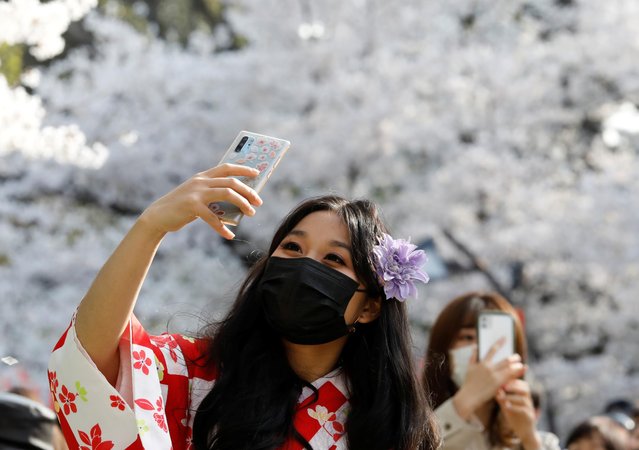 A kimono-clad woman wearing a protective face mask amid the coronavirus disease (COVID-19) pandemic takes a selfie among blooming cherry blossoms at Ueno Park in Tokyo, Japan, March 27, 2021. (Photo by Kim Kyung-Hoon/Reuters)