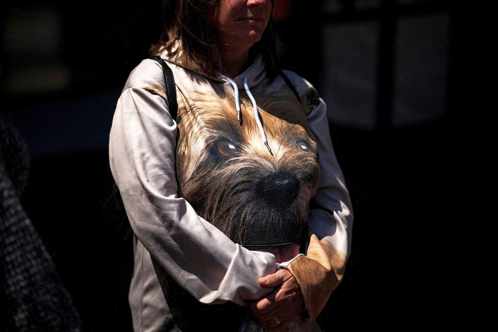 USA last Week, Part 2/2