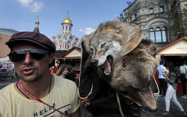 A man walks next to the skins of a wolf and a bear put up for sale in center of Moscow, Russia, 20 August 2019. (Photo by Yuri Kochetkov/EPA/EFE/Rex Features/Shutterstock)