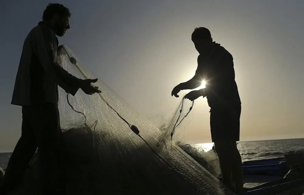 Simply Some Photos: Silhouettes, Part 2