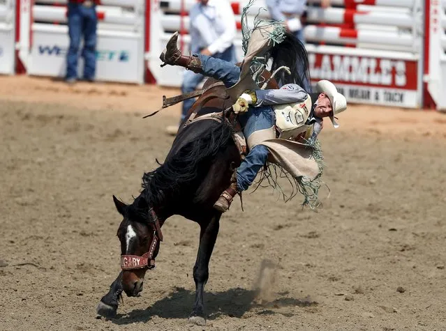 Ryan Gray of Reardan, Washington rides the horse Utica Jilt in the Bareback event during the Calgary Stampede rodeo in Calgary, Alberta, July 10, 2015. (Photo by Todd Korol/Reuters)
