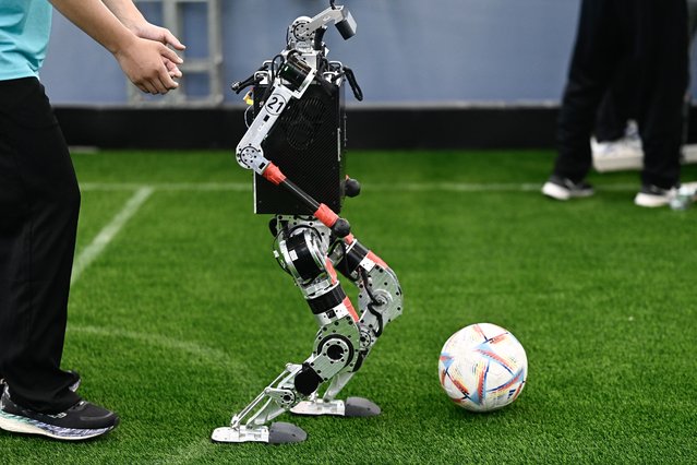 A prototype robot developed for the Robocup Asia-Pacific robotics football competition is shown during a demonstation as part of the World Intelligence Expo in Tianjin on June 23, 2024. (Photo by Pedro Pardo/AFP Photo)
