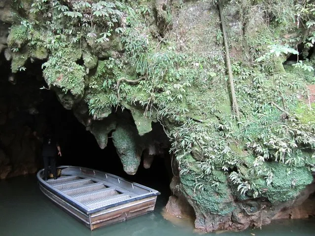 Waitomo Glowworm Caves New Zealand