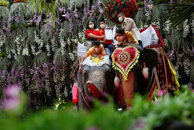 A couple receives their marriage license from an officer during a marriage license signing ceremony on the elephants on Valentine’s Day at tourist attraction site Nong Nooch Tropical Garden in Chonburi, Thailand on February 14, 2022. (Photo by Soe Zeya Tun/Reuters)