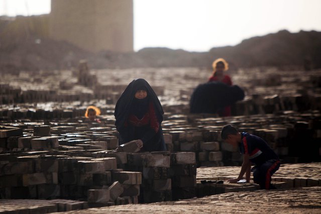 An Iraqi woman stacks bricks baking dry in the sun at a brick factory near the central Iraqi shrine city of Najaf on May 16, 2017. (Photo by Haidar Hamdani/AFP Photo)