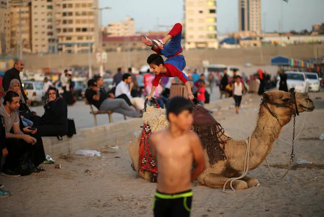 Palestinian boy Mohamad al-Sheikh, 12, who is nicknamed “Spiderman” and hopes to break the Guinness world records with his bizarre feats of contortion, demonstrates acrobatics skills on a camel at a beach in Gaza City June 2, 2016. (Photo by Mohammed Salem/Reuters)