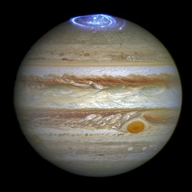 This composite image provided by NASA on Thursday, June 30, 2016 illustrates auroras on the planet Jupiter. This view was produced by NASA using a photograph made by the Hubble Space Telescope in spring 2014, and ultraviolet observations of the auroras in 2016. Earth’s polar lights are triggered by solar storms, which occur when a cloud of gas from the sun encounters the planet’s magnetic field. Jupiter’s powerful auroras are sparked by the planet’s own rotation. (Photo by NASA/ESA/Hubble via AP Photo)