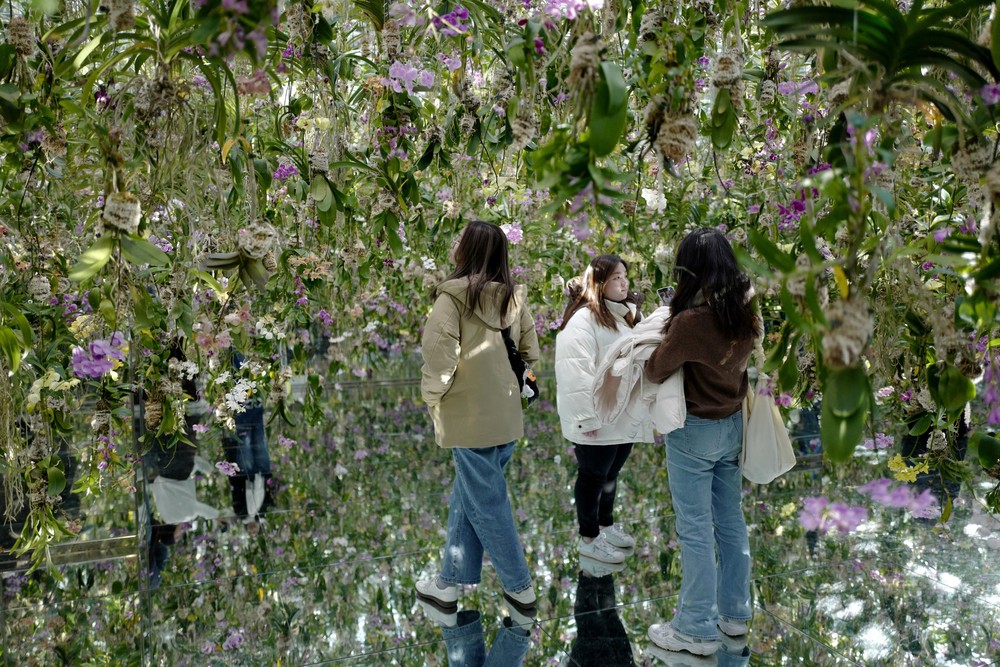 A Look at Life in Japan