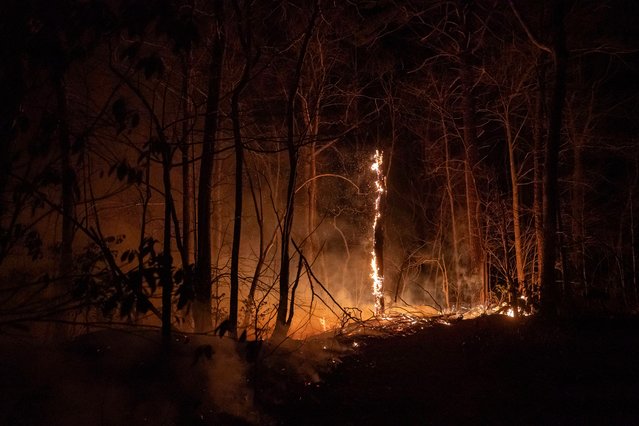 The Deepwoods Fire is seen on March 23, 2025 in Columbus, North Carolina. According to authorities evacuation orders were issued Sunday for parts of Polk County, North Carolina, where three large wildfires have burned more than 3,000 acres combined, with two of the blazes remaining out of control. (Photo by Allison Joyce/Getty Images)