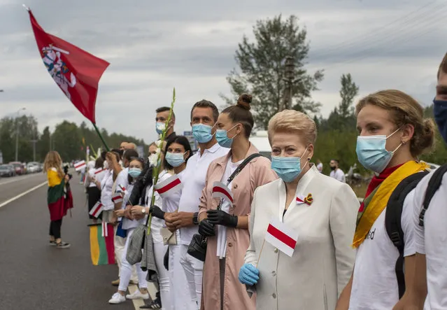 Former Lithuanian President Dalia Grybauskaite, second from right, and other supporters of Belarus opposition participate in a “Freedom Way”, a human chain of about 50,000 strong from Vilnius to the Belarusian border, during a protest near Medininkai, Lithuanian-Belarusian border crossing east of Vilnius, Lithuania, Sunday, August 23, 2020. In Aug. 23, 1989, around 2 million Lithuanians, Latvians, and Estonians joined forces in a living 600 km (375 mile) long human chain Baltic Way, thus demonstrating their desire to be free. Now, Lithuania is expressing solidarity with the people of Belarus, who are fighting for freedom today. (Photo by Mindaugas Kulbis/AP Photo)