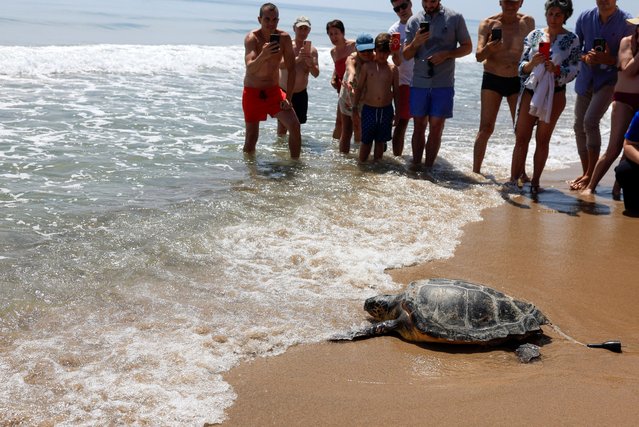 People watch as a turtle is released on a beach as part of the initiative “We save turtles” in Valencia, Spain, 25 June 2025. (Photo by Kai Forsterling/EPA)