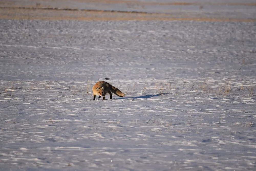 A Look at Life in Turkey