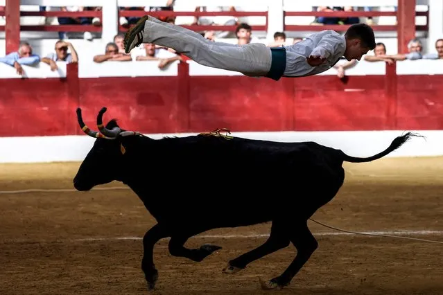 A “sauteur” (“jumper”) vaults over a bull during a “Course Landaise” in Samadet, southwestern France on May 29, 2023. The “Course Landaise” is a traditional event which takes place in the southwest of France between May and October. Men facing the bulls have to avoid contact with the animal, or by jumping over them (“le sauteur”) or by dodging them (“l'écarteur”). (Photo by Charly Triballeau/AFP Photo)