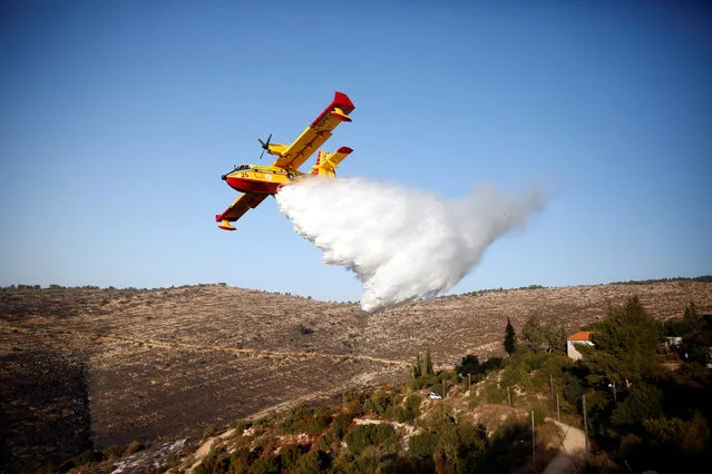 A foreign firefighting plane drops fire retardant during a wildfire, around the communal settlement of Nataf, close to Jerusalem November 26, 2016. (Photo by Ronen Zvulun/Reuters)