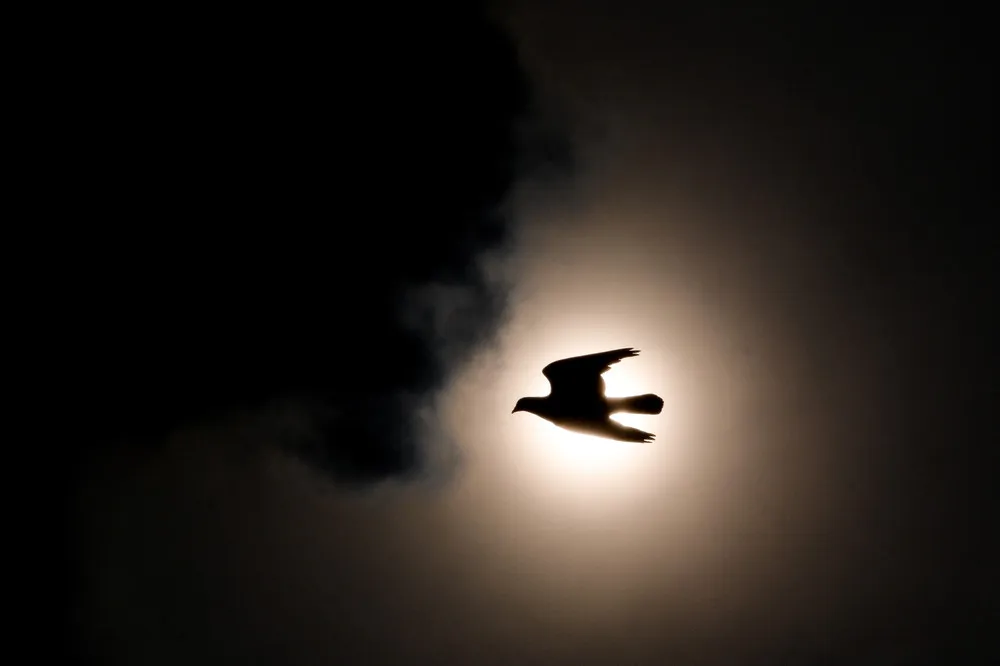 A Look at Life in Indonesia