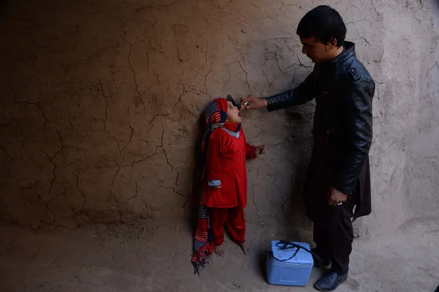 An Afghan health worker administers the polio vaccine to a child during a vaccination campaign on the outskirts of Jalalabad on December 13, 2016. Polio, once a worldwide scourge, is endemic in just three countries now – Afghanistan, Nigeria and Pakistan. (Photo by Noorullah Shirzada/AFP Photo)
