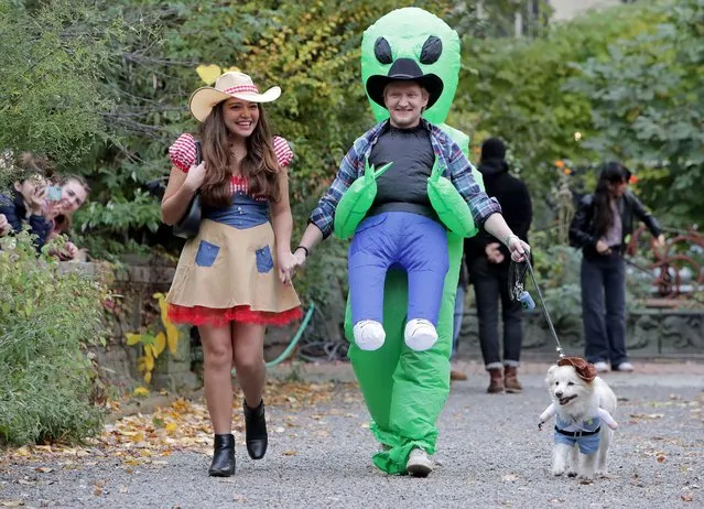 Dogs and their owners wearing all types of colorful costumes participate in the Elizabeth Street Garden Halloween Pet Parade on November 4, 2023 in New York City. The parade was posponed from October dur to bad weather. (Photo by Andrew Schwartz/Splash News and Pictures)