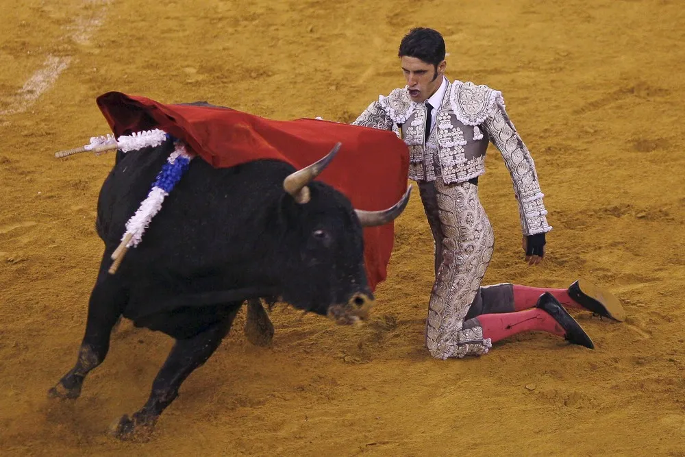 A Bullfight in Malaga