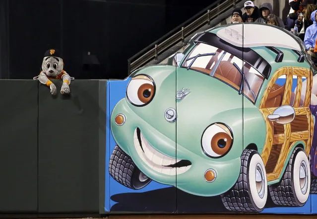 San Francisco Giants mascot Lou Seal watches the team's baseball game against the Colorado Rockies from behind the left field wall Tuesday, April 14, 2015, in San Francisco. (Photo by Marcio Jose Sanchez/AP Photo)