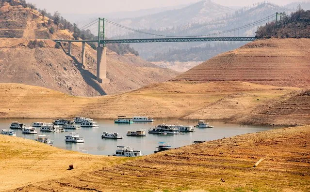 Houseboats sit in a narrow section of water in a depleted Lake Oroville in Oroville, California on September 5, 2021. Lake Oroville is currently at 23% of its capacity and is suffering from extreme levels of drought. Much of California in the western US is currently gripped by excessive heat, severe drought and a series of massive wildfires. (Photo by Josh Edelson/AFP Photo)