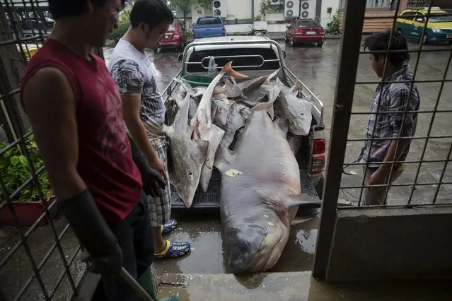 People stand by a pick up truck full of sharks and fish near a wholesale market for fish and other seafood in Mahachai, in Thailand's Samut Sakhon province April 23, 2015. (Photo by Damir Sagolj/Reuters)